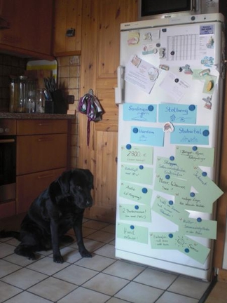 Praxisbeispiel der Entscheidungsanalyse - Urlaubsplanung leicht entschieden - © i-Q Schacht & Kollegen Qualitätskonstruktion GmbH